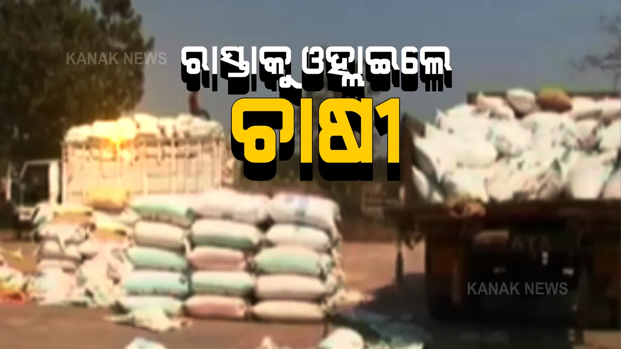  ଧାନ ବିକ୍ରି ଅଚଳାବସ୍ଥାକୁ ନେଇ ରାସ୍ତାକୁ ଓହ୍ଲାଇଲେ ସୁବର୍ଣ୍ଣପୁରର ଚାଷୀ । ୮ଦଫା ଦାବିରେ ସୋନପୁର-ସମ୍ବଲପୁର ରାଜପଥକୁ ୧୨ ଘଣ୍ଟିଆ ଅବରୋଧ ।