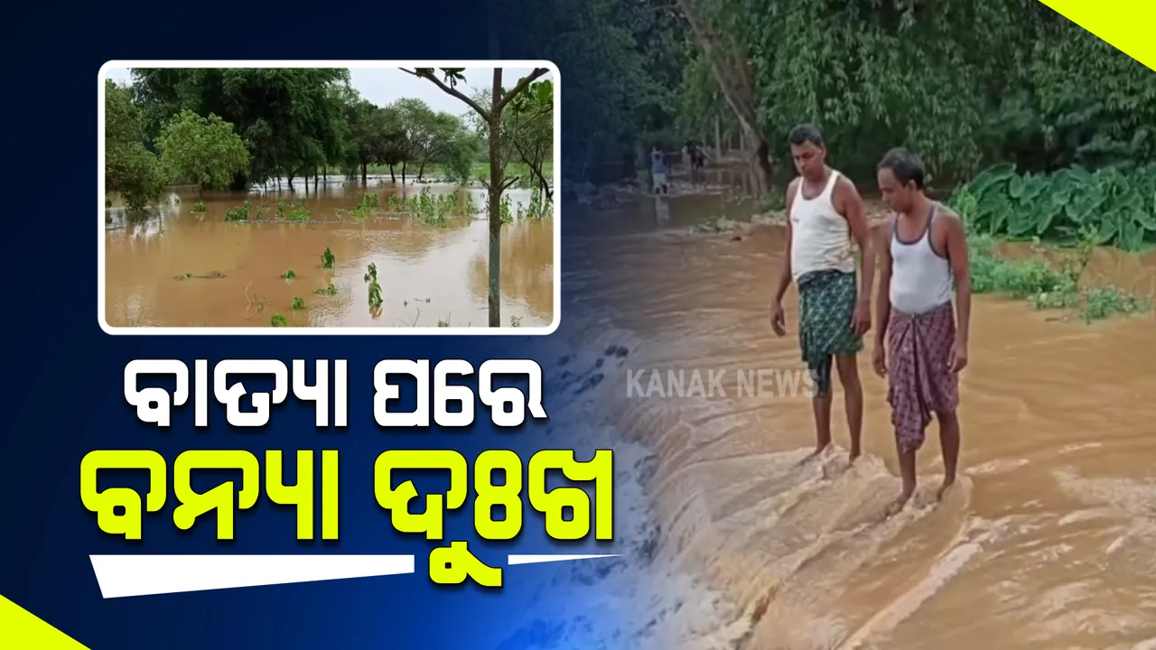  ବାତ୍ୟା ପରେ ବନ୍ୟା ଆଣିଲା ଦୁଃଖ : କେନ୍ଦୁଝର ହାଟଡ଼ିହି ବ୍ଲକରେ ଚାଷୀଙ୍କ ବ୍ୟାପକ ପରିବା ନଷ୍ଟ