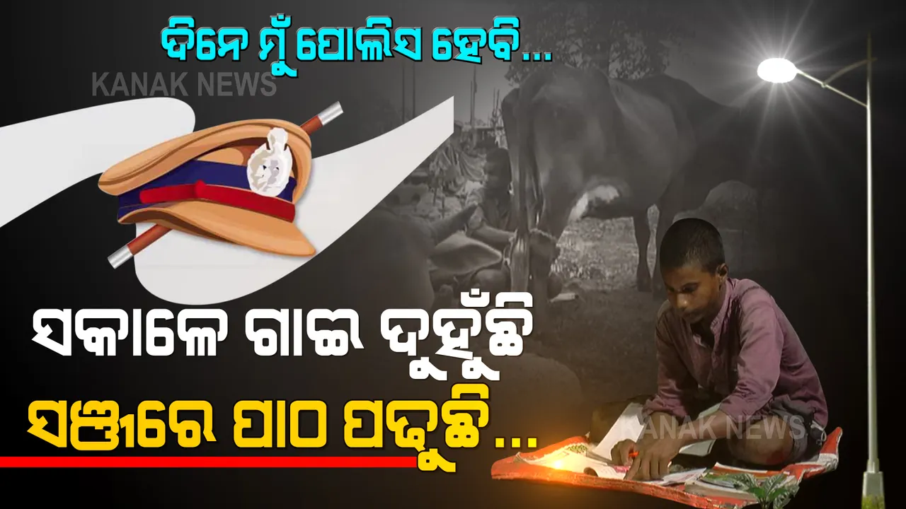  ସକାଳେ ଗାଈ ଦୁହୁଁଛି, ସଞ୍ଜରେ ପାଠ ପଢୁଛି... ଷ୍ଟ୍ରିଟ୍ ଲାଇଟ୍ ତଳେ ପଢି ପୋଲିସ ହେବାକୁ ସ୍ୱପ୍ନ ଦେଖୁଛି ଗରିବ ଘରର ଛାତ୍ର ।