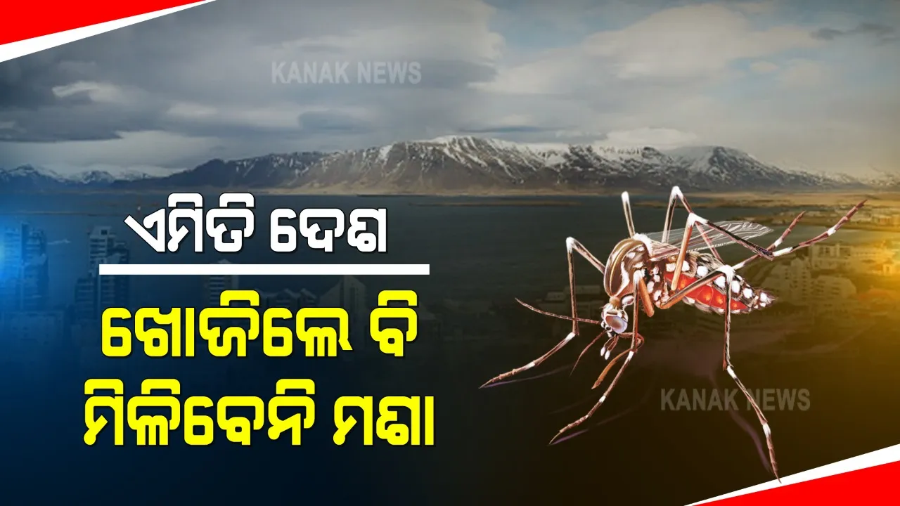  ଦୁନିଆରେ ରହିଛି ଏମିତି ଦେଶ, ଯେଉଁଠି ନାହାନ୍ତି ଗୋଟିଏ ବି ମଶା । କାରଣ ଜାଣିଲେ ଆପଣ ବି ହୋଇଯିବେ ଆଶ୍ଚର୍ଯ୍ୟ । ଜାଣନ୍ତୁ କେଉଁଠି ରହିଛି ଏହି ଦେଶ ?