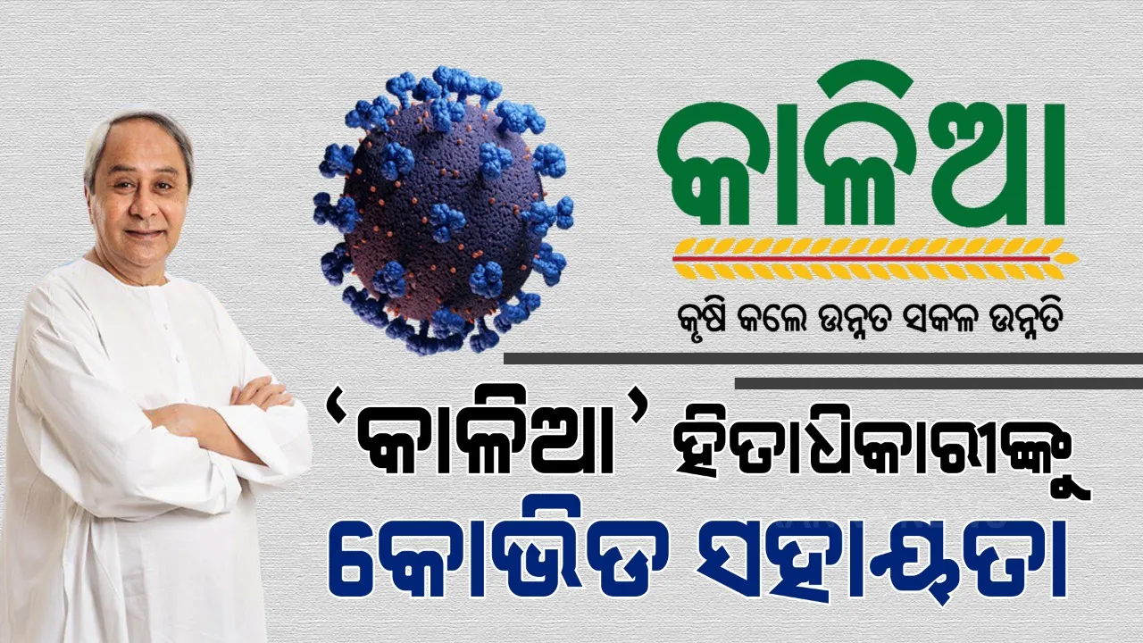  ‘କାଳିଆ’ ହିତାଧିକାରୀଙ୍କୁ କୋଭିଡ୍ ସହାୟତା । ୧୮ ଲକ୍ଷ ଭୂମିହୀନ ଚାଷୀଙ୍କ ଆକାଉଣ୍ଟକୁ ଗଲା କୋଭିଡ୍ ସହାୟତା, ୩୮୬ କୋଟି ଟଙ୍କାର ସହାୟତା ପ୍ରଦାନ କଲେ ସରକାର ।