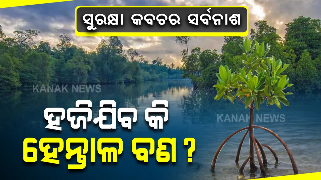  ଏବେ ବିପଦ ମୁହଁରେ ଛାତି ପତେଇ ଛିଡା ହେଉଛି ବଣ । ଆଗକୁ ବାତ୍ୟା ପାଟିରେ ବିଲୀନ ହୋଇଯିବ ହେନ୍ତାଳ ବଣ ?
