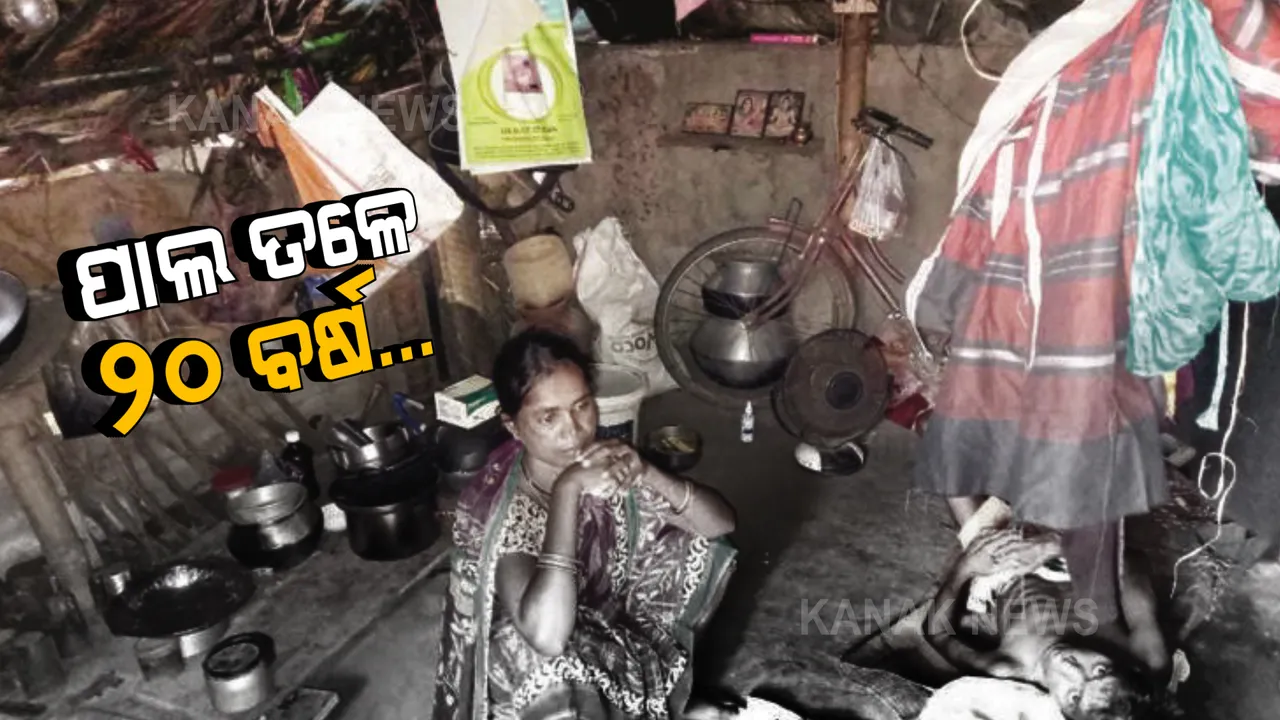  ପାଲ ତଳେ ଜୀବନ କଟିଲାଣି ୨୦ ବର୍ଷ... କର୍କଟ ପିଡୀତ ଶଙ୍କରଙ୍କୁ କିଏ ହେବ ଶାହା? ଦୁର୍ଦ୍ଦିନରେ କଟୁଛି ଜୀବନ... ପାଖରେ ନାହିଁ ରାସନ କାର୍ଡ, ଭତ୍ତା ମିଳିବା କଥା ପଚାରେ କିଏ...