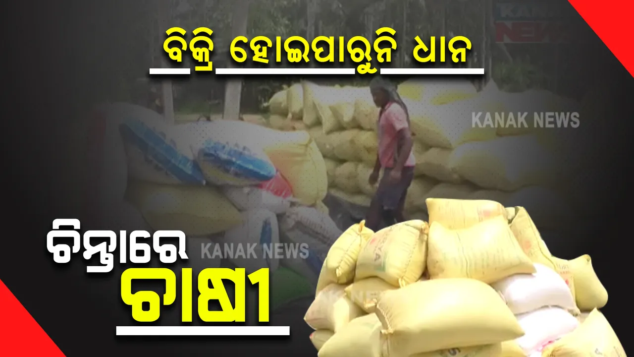  ନିଆଳି ବାହାରଣା ସେବା ସମବାୟ ସମିତିରେ ଅନିୟମିତତା ଅଭିଯୋଗ : ମଣ୍ଡିରେ ବିକ୍ରି ହୋଇପାରୁନି ଧାନ, ଚିନ୍ତାରେ ଚାଷୀ
