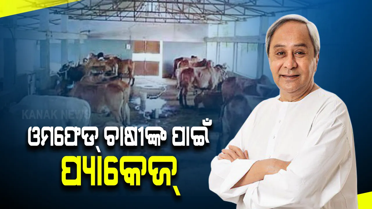  ଓମଫେଡ୍ ଚାଷୀଙ୍କ ପାଇଁ ମୁଖ୍ୟମନ୍ତ୍ରୀଙ୍କ ପ୍ୟାକେଜ୍ : ଗୋ-ଖାଦ୍ୟ ଖର୍ଚ୍ଚ ବାବଦରେ ମିଳିବ ୬ ହଜାର ଟଙ୍କା ପର୍ଯ୍ୟନ୍ତ ସହାୟତା
