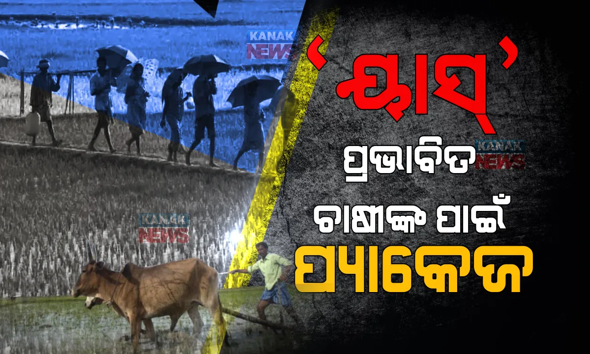  ବାତ୍ୟା ୟାସ୍ ପ୍ରଭାବିତ ଚାଷୀଙ୍କ ପାଇଁ ମୁଖ୍ୟମନ୍ତ୍ରୀଙ୍କ ବଡ ଘୋଷଣା । ଜାଣନ୍ତୁ କେଉଁ ବାବଦକୁ ମିଳିବ କେତେ ଟଙ୍କା?