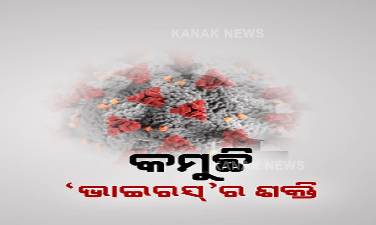  କମୁଛି ‘ଭାଇରସ୍’ର ଶକ୍ତି । ସାମ୍ନାକୁ ଆସିଲା ଇନଷ୍ଟିଚ୍ୟୁଟ୍ ଅଫ୍ ଲାଇଫ୍ ସାଇନ୍ସର ତଥ୍ୟ । ଏବେ ସଂକ୍ରମିତ ହେଉଥିବା ଲୋକଙ୍କ କ୍ଷେତ୍ରରେ ଦେଖିବାକୁ ମିଳୁଛି କମ୍ ଭାଇରାଲ ଲୋଡ ।