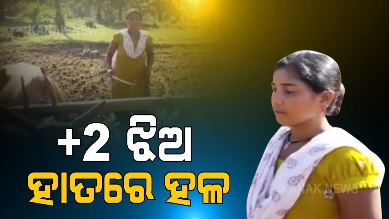  ପାଠ ପଢିବା ବୟସରେ ହାତରେ ଧରିଛି ହଳ । ପରିବାରର ପେଟ ପୋଶିବା ଲାଗି ସଂଘର୍ଷ କରୁଛି ପାଠୁଆ ଝିଅ ।