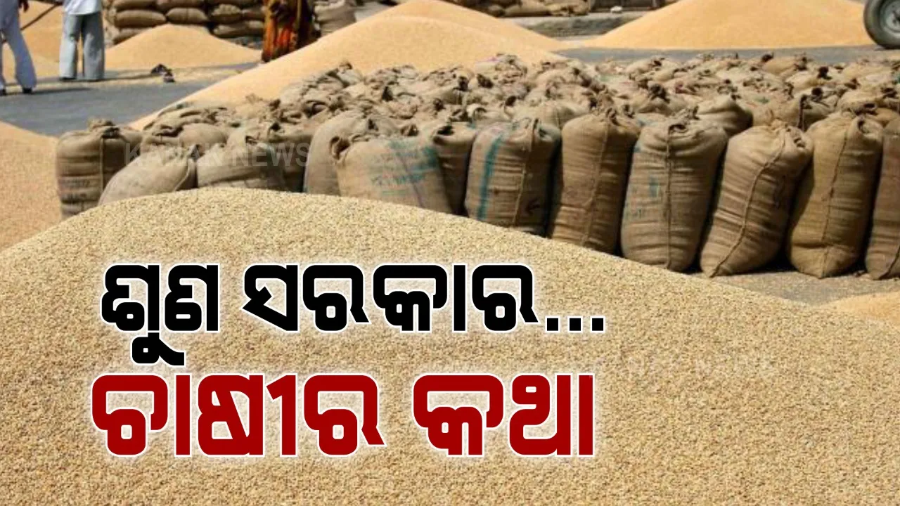  ଅଧା ଓଡ଼ିଶାରୁ ଆସିଲା ଚାଷୀ ଦୁର୍ଦ୍ଦଶାର ସାଂଘାତିକ ଚିତ୍ର । ମଣ୍ଡିରେ ପଡି ପଡ଼ି ଧାନ ହୋଇଗଲାଣି ଗଜା, ୧୨ ଦିନିଆ ଟୋକନ ଅବଧି ପାଇଁ ବ୍ରିକି ହୋଇ ପାରିଲାନି ରବି ଧାନ । 
