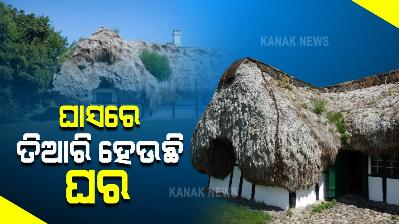  ଏମିତି ଦ୍ୱୀପ, ଯେଉଁଠି ଘାସରେ ଘର ତିଆରି କରୁଛନ୍ତି ଲୋକ । ପକ୍କାଘରଠୁ ବି ଅଧିକ ଉପକାରୀ ଏହି ଘର । ଜାଣନ୍ତୁ କେଉଁଠି ଏହି ଦ୍ୱୀପ?