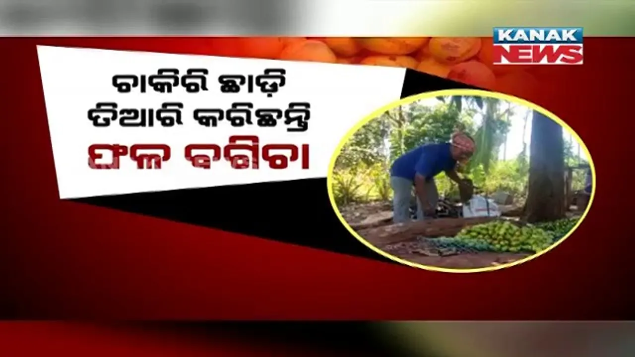  ଗଛ ଲଗାଇବାର ନିଶା । ପୋଲସରା ଚିରିକିପଡା ଶାସନର ପିତବାସ ପ୍ରଧାନଙ୍କ ଫଳବଗିଚାକୁ ନେଇ ଚର୍ଚ୍ଚା । ବର୍ଷକୁ ରୋଜଗାର କରୁଛନ୍ତି ପ୍ରାୟ ୧୫ ଲକ୍ଷ ଟଙ୍କା
