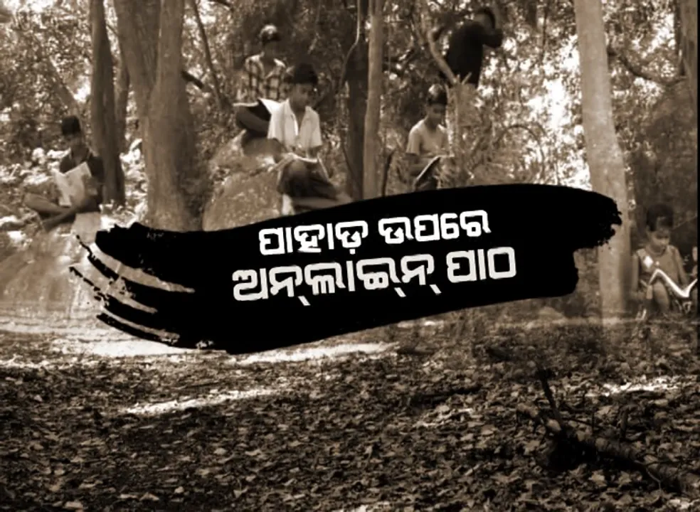  ନେଟୱର୍କ ଯେଉଁଠି, ପାଠପଢ଼ା ସେଇଠି । ପାହାଡ ଚଢି ପିଲାଏ ପଢୁଛନ୍ତି ୟୁ-ଟ୍ୟୁବ୍ ପାଠ, ବୌଦ୍ଧ ଓ ଗଜପତିରୁ ଆସିଲା ଅନଲାଇନ୍ ପାଠପଢ଼ାର ବିକଳ ଚିତ୍ର ।