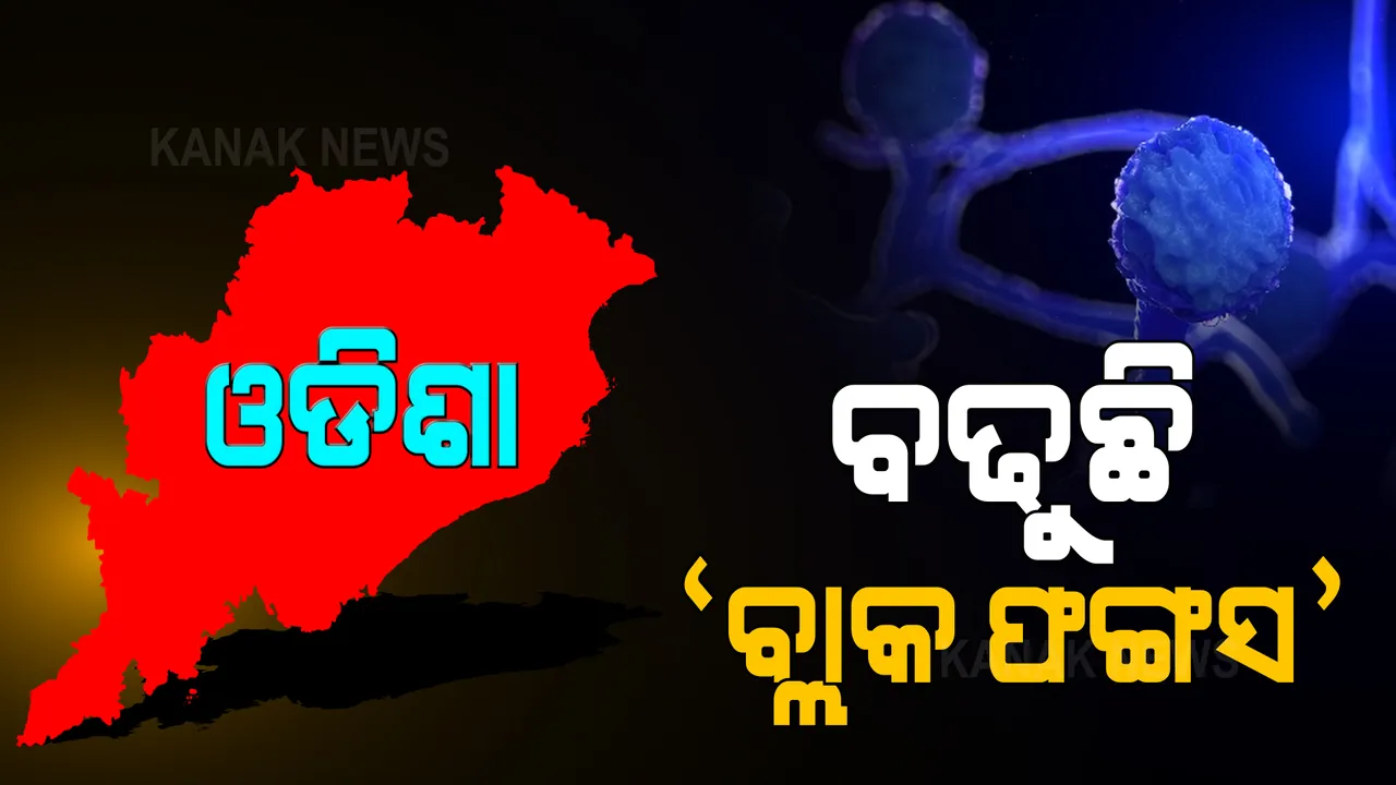  ଓଡିଶାରେ ବଢୁଛି ‘ବ୍ଲାକ ଫଙ୍ଗସ’ ରୋଗୀଙ୍କ ସଂଖ୍ୟା : ସଂକ୍ରମିତ ହେଲେଣି ୧୨୯ ଜଣ, ୧୮ ଜଣଙ୍କ ମୃତ୍ୟୁ; ଏଯାଏଁ ସୁସ୍ଥ ହୋଇଛନ୍ତି କେବଳ ୧୨ ଜଣ
