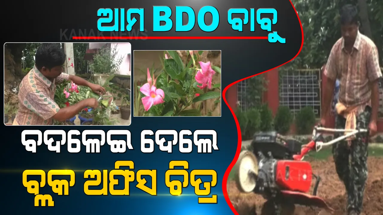  ବିଡିଓଙ୍କ ପରିଶ୍ରମ ପରେ ବଦଳିଗଲା ବ୍ଲକ ଅଫିସର ପୂରା ଚିତ୍ର । ଅପନ୍ତରା ଜାଗାରେ ଗଢିଦେଲେ ଆକର୍ଷଣୀୟ ପାର୍କ । ନିଜେ ହଳ କଲେ, କୋଦାଳ ଧରି ମାଟି ହାଣିଲେ ।