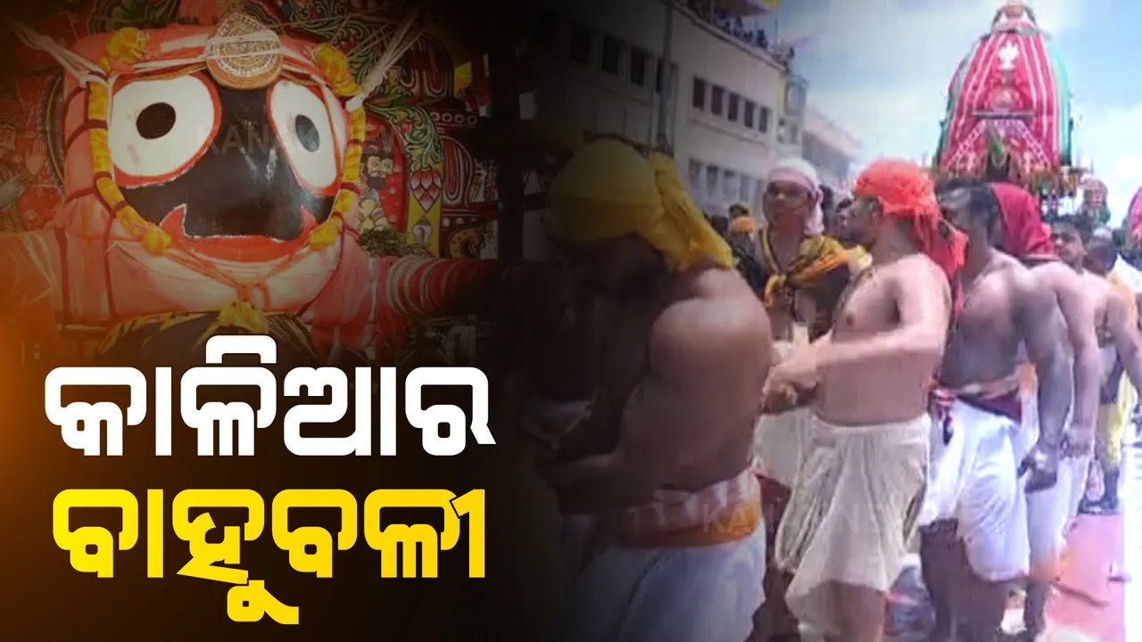  ଘୋଷଯାତ୍ରାରେ ତିନିଠାକୁରଙ୍କ ରଥ ଟାଣିଲେ ବାହୁବଳୀ ସେବାୟତ । ଚର୍ଚ୍ଚାରେ ଦାମୋଦର ଗୋଛିକାର, ଲୋକନାଥ ମୁଦିରସ୍ତ ଏବଂ ଅନିଲ ଗୋଛିକାର ।