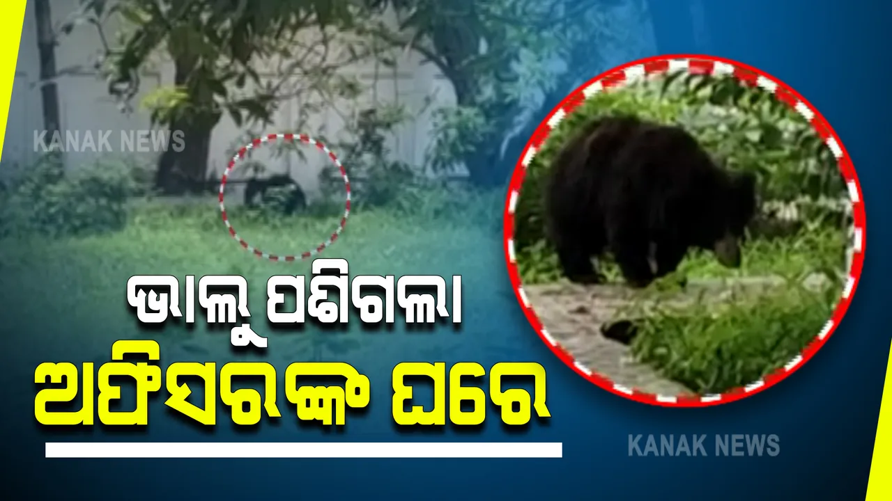  ନୂଆପଡ଼ା ଜିଲ୍ଲାପାଳଙ୍କ ସରକାରୀ ବାସଭବନ ଭିତରେ ପଶିଲା ଭାଲୁ : ସୁରକ୍ଷା ପାଇଁ ଜଗିବସିଛି ବନବିଭାଗ; ଭାଲୁକୁ ସୁରକ୍ଷିତ ଉଦ୍ଧାର କରିବା ପାଇଁ ଜାରି ରହିଛି ଉଦ୍ୟମ