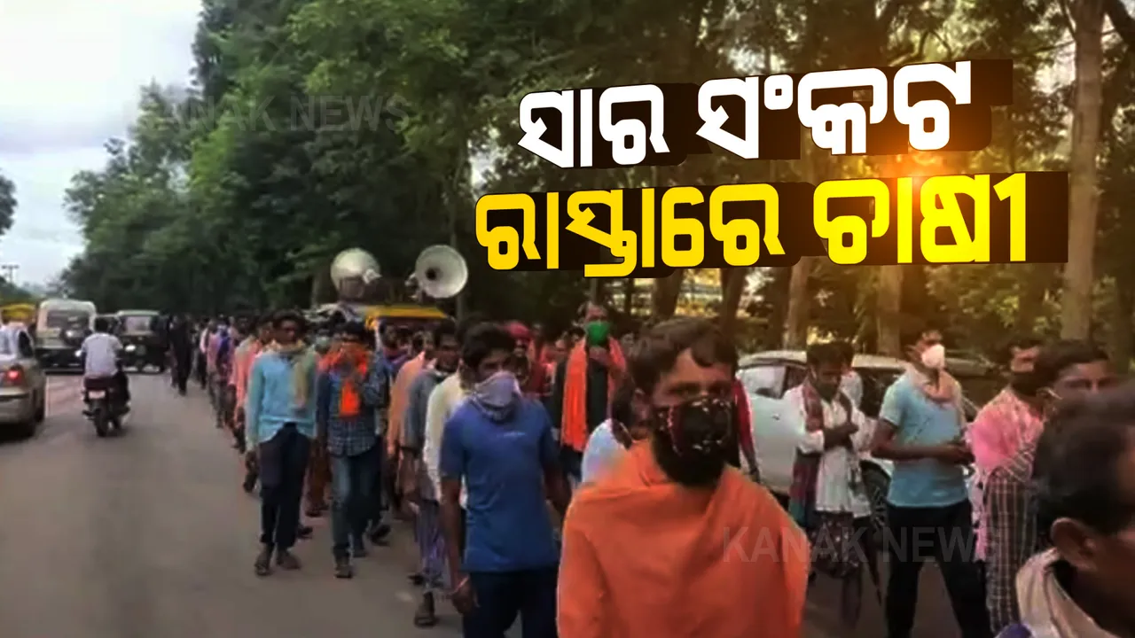  ଧାନ ଚାଷ ସମୟରେ ମିଳୁନି ସାର । ଅଭାବ ଯୋଗୁ ଚଢ଼ା ଦାମରେ ବିକ୍ରି ହେଉଥିବା ଅଭିଯୋଗ । 