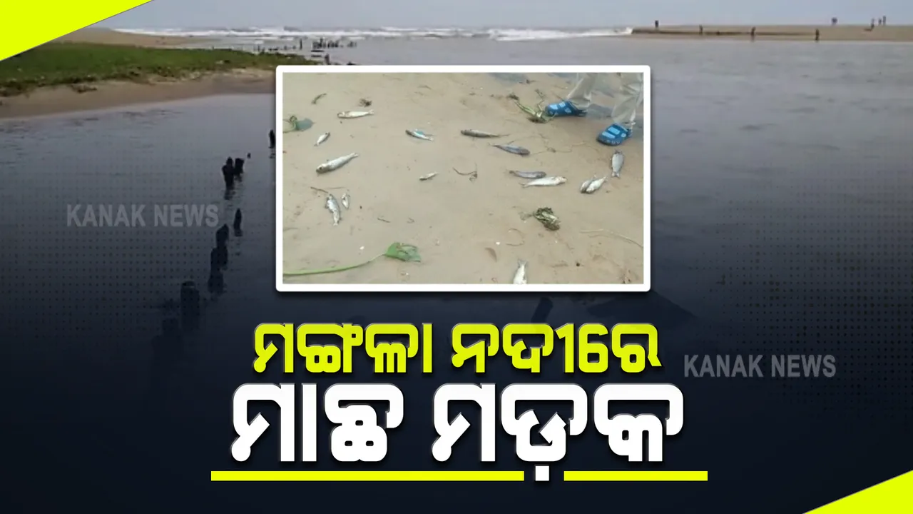  ପୁରୀରେ ବିଷ ହୋଇଗଲା ମଙ୍ଗଳା ନଈର ପାଣି