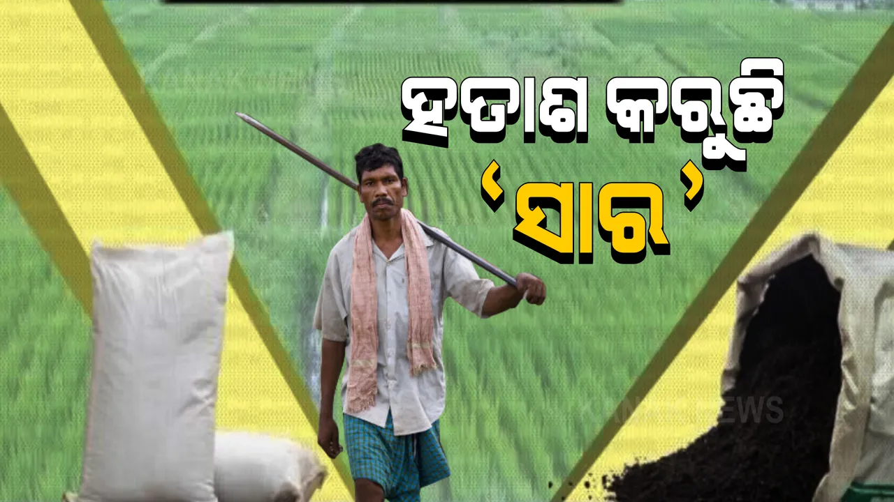  ବର୍ଷା ଅଭାବ ସମସ୍ୟା ପରେ ସାର ସଙ୍କଟ ବଢ଼ାଇଲା ଚାଷୀଙ୍କ ଚିନ୍ତା । କେଉଁଠି ଅଭାବି ବିକ୍ରି, ତ କେଉଁଠି ଆସୁଛି ଶୋଷଣର ଅଭିଯୋଗ? ବଢୁଛି ଅସନ୍ତୋଷ, ଚିନ୍ତାରେ କୃଷି ବିଭାଗ ।
