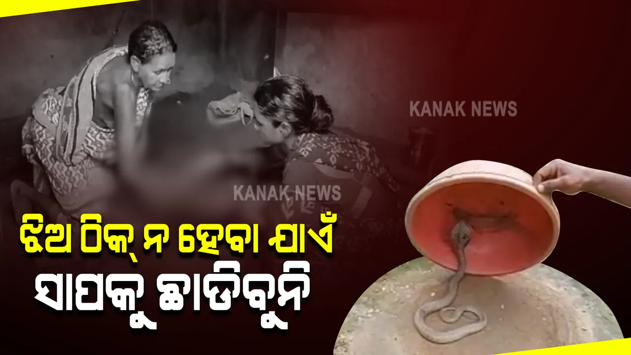  ଅନ୍ଧବିଶ୍ୱାସ କୁହନ୍ତୁ ବା ଅର୍ଥାଭାବ...କଷ୍ଟ ସହୁଛି କୁନିଝିଅ : ସାପ କାମୁଡିବା ପରେ ନଷ୍ଟ ହେବାକୁ ବସିଛି ହାତ