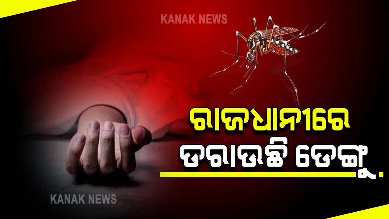  ରାଜଧାନୀରେ ଜ୍ୱରରେ ଜଣଙ୍କ ମୃତ୍ୟୁ । ଡେଙ୍ଗୁରେ ମୃତ୍ୟୁ ହୋଇଛି ନା ଅନ୍ୟ କାରଣ ଅଛି ବିଏମସିର ତନାଘନା