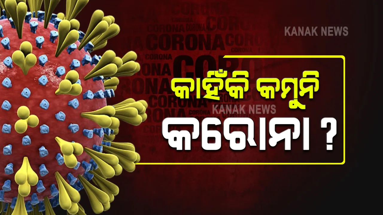  ଦିଲ୍ଲୀ-ମୁମ୍ବାଇରେ କମିଲା, ରାଜ୍ୟର କିଛି ଜିଲ୍ଲାରେ କାହିଁକି କମୁନି ସଂକ୍ରମଣ ? ଅଧିକ ଯାତାୟତ ନେଇ ଅଜବ ଯୁକ୍ତି ରଖୁଛନ୍ତି ସରକାରଙ୍କ ସ୍ୱାସ୍ଥ୍ୟ ବିଶେଷଜ୍ଞ