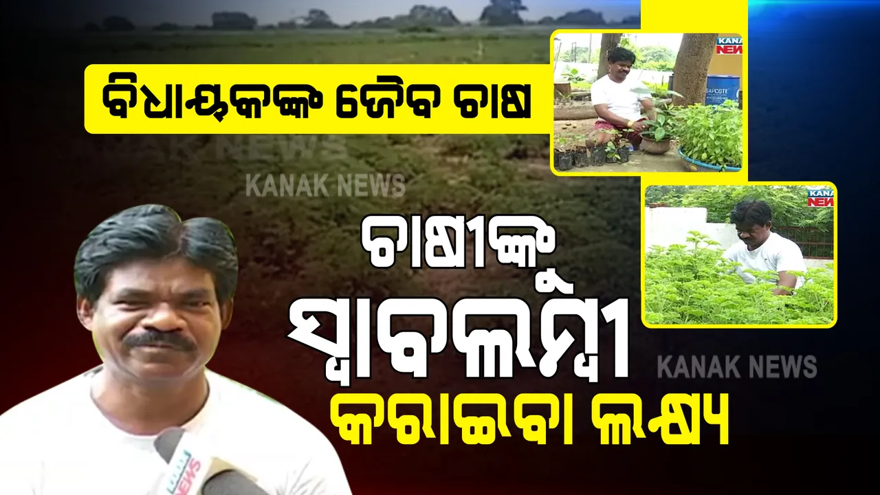  ଜୈବ ଚାଷରେ ଜିଲ୍ଲାର ଚାଷୀଙ୍କୁ କରୁଛନ୍ତି ଉତ୍ସାହିତ । ସମସ୍ତଙ୍କୁ ବିଷମୁକ୍ତ ସାମଗ୍ରୀ ଯୋଇବା ଲକ୍ଷ୍ୟ ନେଇ ଚର୍ଚ୍ଚାରେ ବୀରମିତ୍ରପୁର ବିଧାୟକ ।