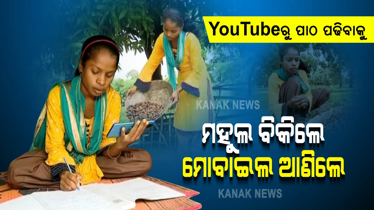  ଖାସ୍ ଅନଲାଇନରେ ପାଠ ପଢିବା ପାଇଁ । ୨ ମାସ ଧରି ଜଙ୍ଗଲରୁ ମହୁଲ ଗୋଟାଇ କିଣିଲେ ମୋବାଇଲ, ଏବେ ସକାଳୁ ୟୁ-ଟ୍ୟୁବରେ ପାଠ ପଢୁଛନ୍ତି ମାଲକାନଗିରିର ଆଦିବାସୀ ଝିଅ ।