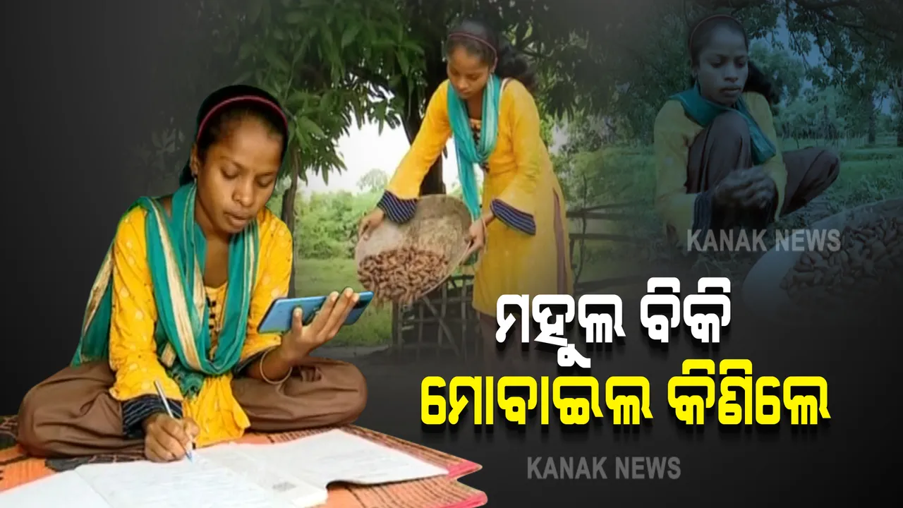  ଅନଲାଇନ୍ ପାଠ ପଢିବା ପାଇଁ ଆଦିବାସୀ ଝିଅର ସଂଘର୍ଷ । ଜଙ୍ଗଲରୁ ମହୁଲ, ଟୋଲ ବିକି ନିଜ ପାଇଁ କିଣିଲେ ସ୍ମାର୍ଟଫୋନ୍ ।