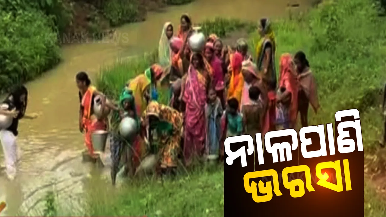  ନଳକୂପରୁ ବାହାରୁନି ପିଇବା ପାଣି, ନାଳପାଣି ହିଁ ଶେଷ ଭରସା । କଟକ ଜିଲ୍ଲା ଆଠଗଡର ରାଜବଲ୍ଲବ ଗାଁରେ ପାଣି ପାଇଁ ଡହଳବିକଳ ଲୋକେ ।