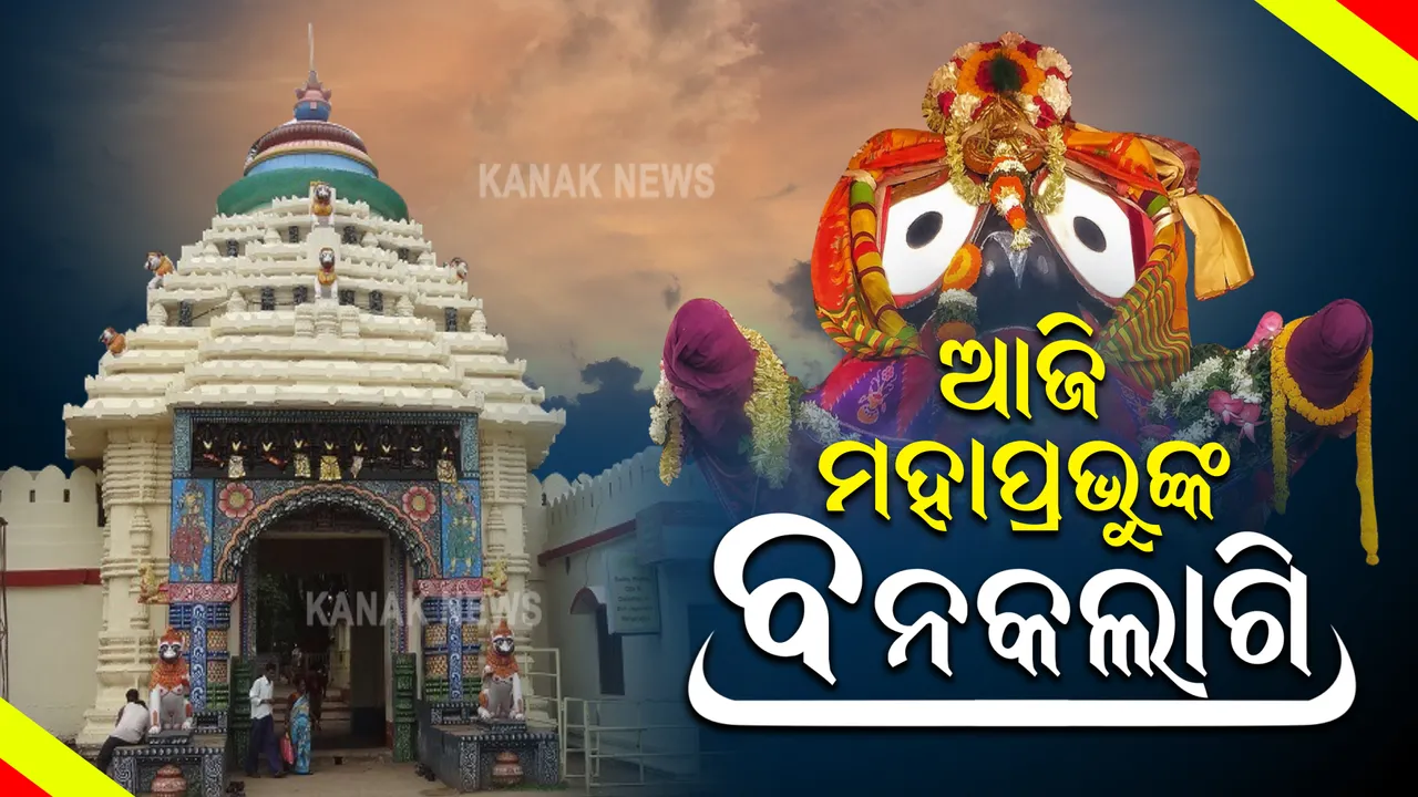  ନବଦିନାତ୍ମକ ଗୁଣ୍ଡିଚା ଯାତ୍ରାରେ ବାହାରିଥିବା ମହାପ୍ରଭୁଙ୍କର ଆଜି ବନକଲାଗି ନୀତି : କାଲି ହେରାପଂଚମୀ ପରେ ଶନିବାର ଦକ୍ଷିଣ ମୋଡ଼ନେବେ ୩ ରଥ