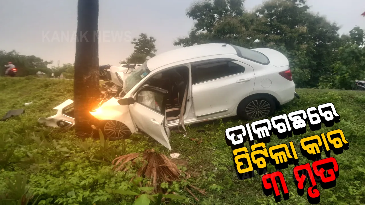  ତାଳଗଛରେ ପିଟିହେଲା କାର । ମାଆ ସହ ଚାଲିଗଲା ୨ ଝିଅଙ୍କ ଜୀବନ