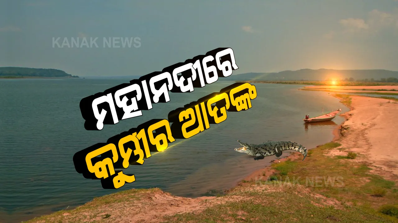  ଆଠଗଡ ବନଖଣ୍ଡ ବଡମ୍ୱା ବନାଂଚଳ ମହାନଦୀରେ କୁମ୍ଭୀର ଆତଙ୍କ : ଦୁଇ ଦିନ ଧରି ନଦୀରେ ବୁଲୁଛି କୁମ୍ଭୀର; ନଦୀ ପାଖରେ କେବଳ ପୋଷ୍ଟର ମାରି ଚୁପ୍ ବସିଛି ବନବିଭାଗ