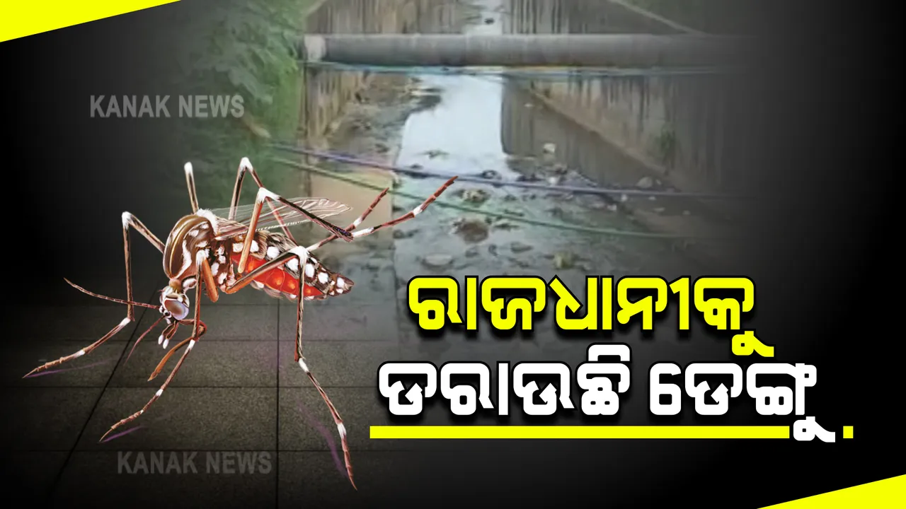  ରାଜଧାନୀକୁ ଡରାଉଛି ଡେଙ୍ଗୁ : ଆଉ ୩୦ ରୋଗୀ ଚିହ୍ନଟ ପରେ ମୋଟ ସଂଖ୍ୟା ପହଂଚିଲା ୪୨୧