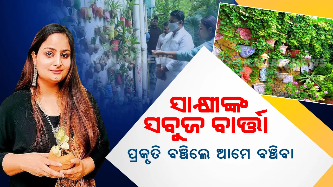  ଘରେ ମିନି ଜଙ୍ଗଲ : ୮ଶହ ବର୍ଗଫୁଟରେ ୪ ହଜାର ଗଛ, ୧୫୦ରୁ ଉର୍ଦ୍ଧ୍ୱ ବିରଳ ପ୍ରଜାତି