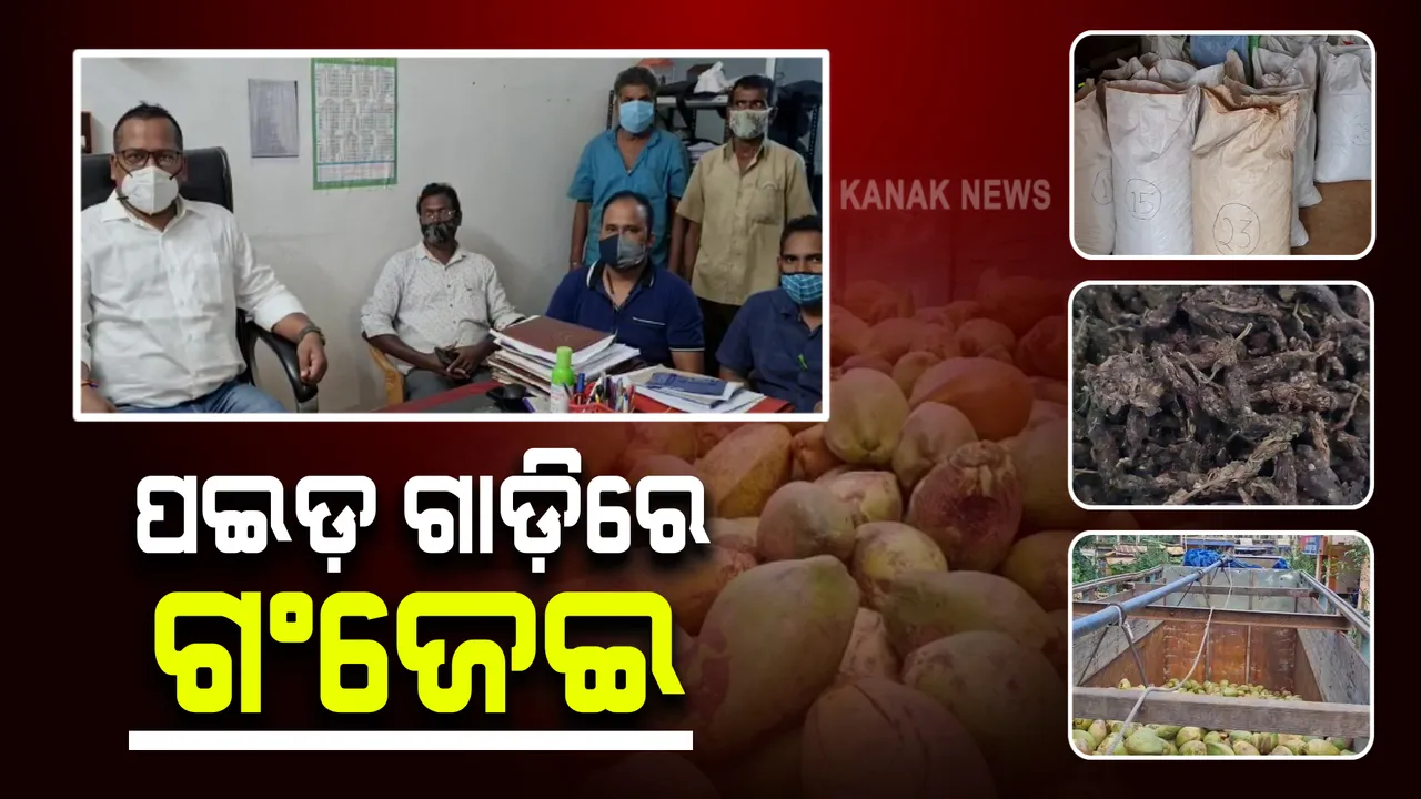  କୋରାପୁଟ ମାଛକୁଣ୍ଡ ପୁଲିସକୁ ବଡ଼ ସଫଳତା : ପଇଡ଼ ଗାଡ଼ିରେ ଗଂଜେଇ ଚୋରାଚାଲାଣ ଧରିଲା ପୋଲିସ