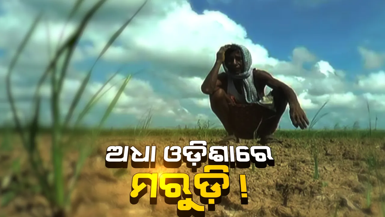  ମରୁଡ଼ି ବଢ଼ାଇଲା ସରକାରଙ୍କ ଚିନ୍ତା । ସ୍ଥିତି ନେଇ ବରିଷ୍ଠ ଅଧିକାରୀଙ୍କ ସହ ସମୀକ୍ଷା କଲେ ମୁଖ୍ୟ ଶାସନ ସଚିବ । ମୁକାବିଲା ପାଇଁ ପ୍ରସ୍ତୁତ ହେଲା ଆକ୍ସନ ପ୍ଲାନ