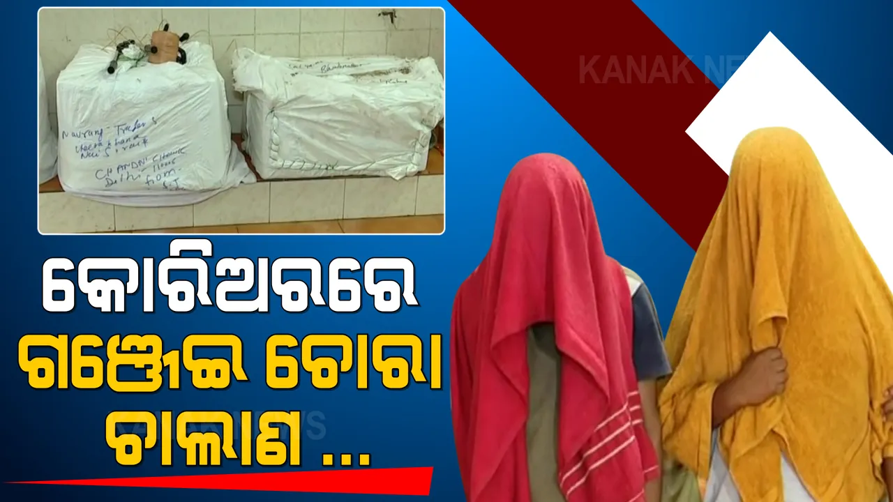  ପୋଲିସ ହାତରେ ଧରାପଡ଼ିଲେ ଗଞ୍ଜେଇ ଚୋରା ଚାଲାଣକାରୀ : ୪୫ କେଜି ଗଞ୍ଜେଇ ସହ ୨ ଜଣଙ୍କୁ ଗିରଫ କଲା କମିଶନରେଟ୍ ପୋଲିସ