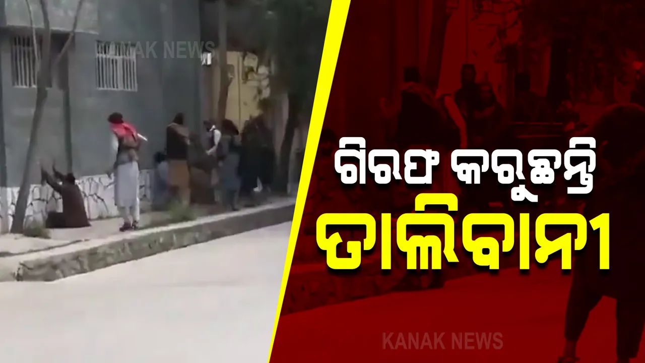  କାବୁଲ କବଜା ପରେ ଧୀରେ ଧୀରେ ସାମ୍ନାକୁ ଆସୁଛି ତାଲିବାନୀଙ୍କ ଅତ୍ୟାଚାରର ଚିତ୍ର : ରାସ୍ତା ଉପରେ ଲୋକଙ୍କୁ ଗିରଫ କରୁଛନ୍ତି ତାଲିବାନୀ
