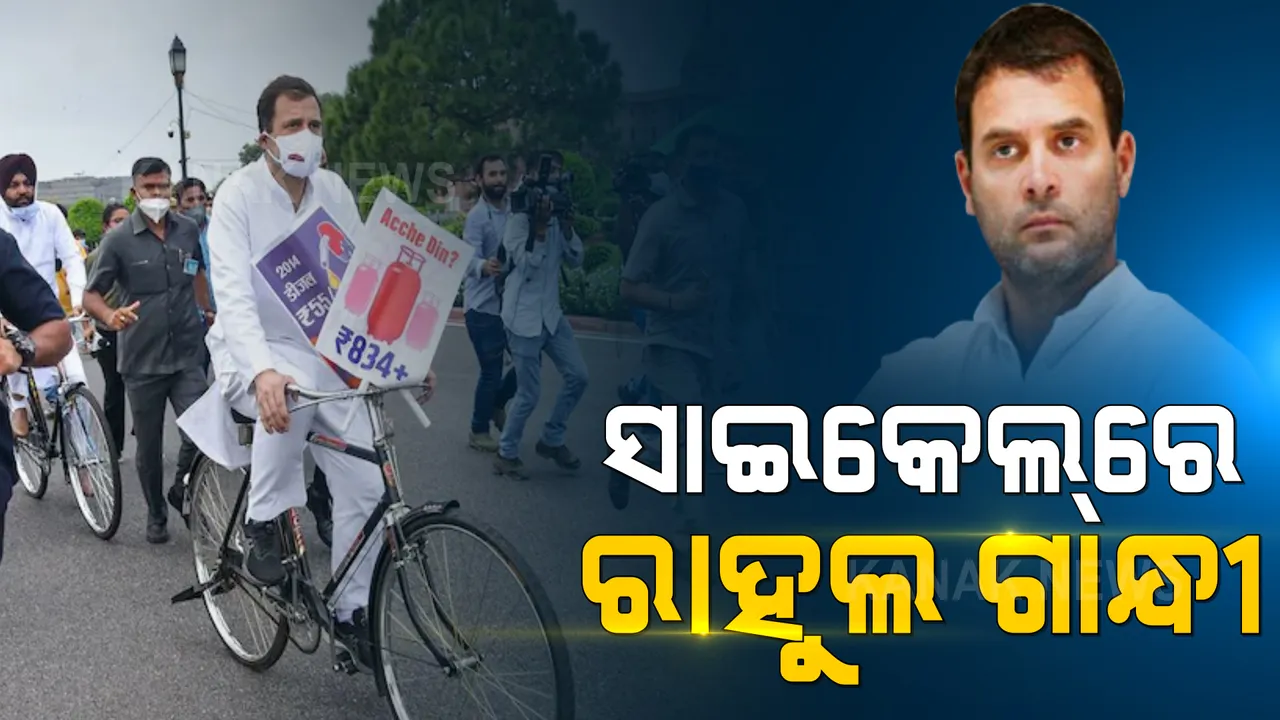  କେନ୍ଦ୍ର ସରକାରଙ୍କୁ ଘେରିବାକୁ ରାହୁଲଙ୍କ ନୂଆ ରଣନୀତି । ବିରୋଧୀ ଦଳ ନେତାଙ୍କ ସହ ଜଳଖିଆ ଖାଇବା ପରେ ସାଇକେଲ ରାଲିରେ ଆସିଲେ ସଂସଦ ।