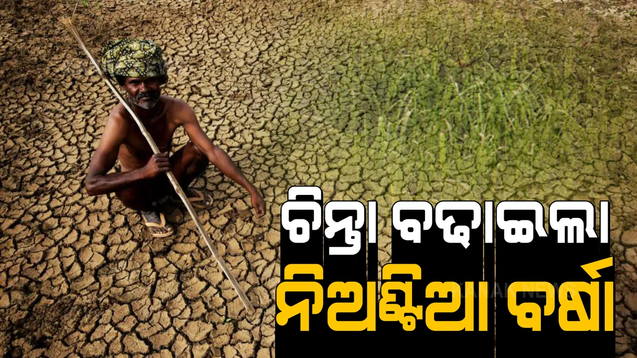  ରାଜ୍ୟର ୨୭ ଜିଲ୍ଲାରେ କମ୍ ବୃଷ୍ଟିପାତ ନେଇ ପାଣିପାଗ ବିଭାଗର ସୂଚନା । ଜୁନରୁ ଅଗଷ୍ଟ ମାସରେ ୩୦ ପ୍ରତିଶତ କମ୍ ବର୍ଷ. ୫ଜିଲ୍ଲାରେ ୪୦ ପ୍ରତିଶତରୁ କମ୍ ବର୍ଷିଛି ମୌସୁମୀ ।