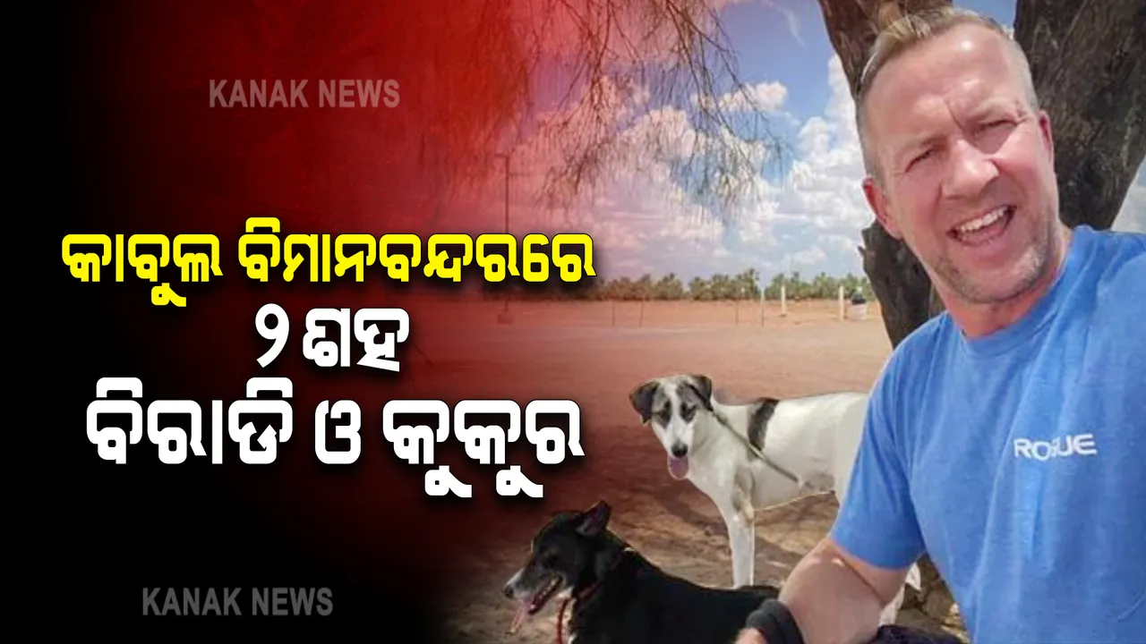  କାବୁଲ ବିମାନବନ୍ଦରରେ ବିଚିତ୍ର ଚିତ୍ର, ୨୦୦ କୁକୁର ଓ ବିରାଡିଙ୍କୁ ଧରି ବିମାନ ଅପେକ୍ଷାରେ ବସିଛନ୍ତି ବ୍ରିଟିସ ନୌସେନାର ପ୍ରାକ୍ତନ କର୍ମଚାରୀ