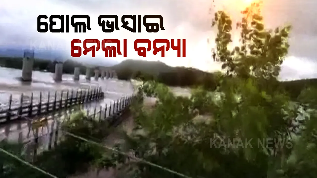  ମଧ୍ୟପ୍ରଦେଶରେ ପ୍ରବଳ ବର୍ଷା ସାଜିଲା କାଳ । ବିପଦ ସଂକୁଳ ଉପରେ ପ୍ରଭାବିତ ହେଉଛି ଅନେକ ନଦୀ