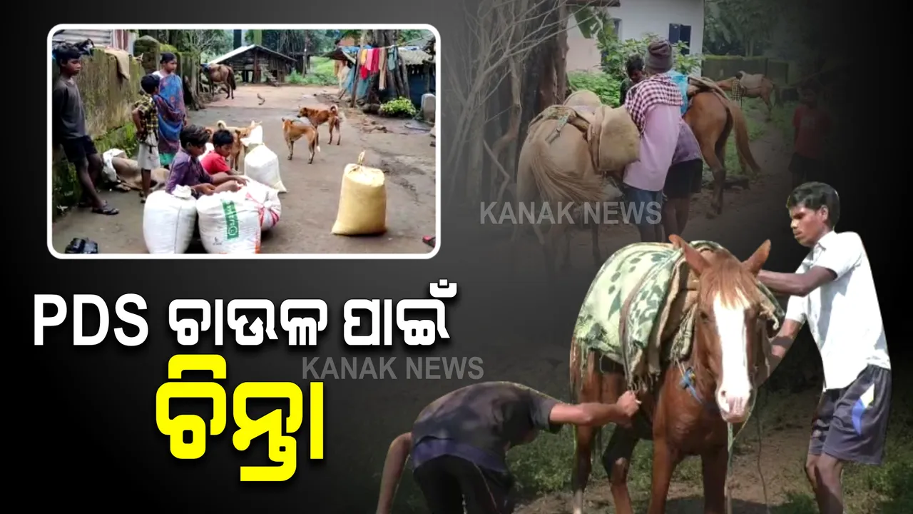  ୨୦ କିମି ପାହାଡି ରାସ୍ତା ଚାଲିଲେ ମିଳିବ ଚାଉଳ । ଗାଁ ଗୋଟିଏ ପଞ୍ଚାୟତରେ, ପିଡିଏସ ସାମଗ୍ରୀ ମିଳୁଛି ଆଉ ଗୋଟିଏ ପଞ୍ଚାୟତରେ, ଚାଉଳ ଆଣିବାକୁ ହଇରାଣ ହେଉଛନ୍ତି ଲୋକେ ।
