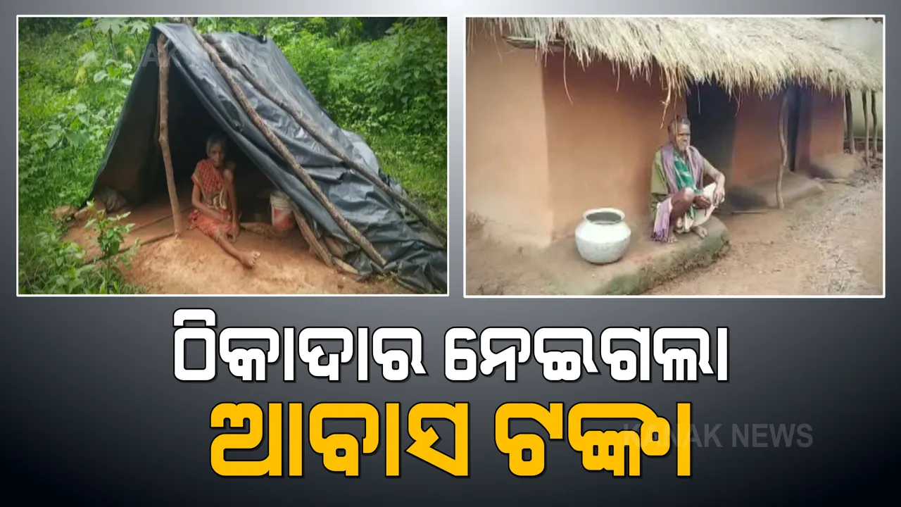  ଆବାସ ଦୁର୍ନୀତିର ସାଂଘାତିକ ଅଭିଯୋଗ । ନବରଙ୍ଗପୁରରେ ହିତାଧିକାରୀଙ୍କ ଆବାସ ଟଙ୍କା ହଡପ କରି ନେଲା ଠିକାଦାର, କାମାକ୍ଷାନଗରରେ ଆବାସ ନମିଳିବାରୁ ପଲିଥିନ୍ ତଳେ ମୁଣ୍ଡ ଗୁଞ୍ଜିଛନ୍ତି ବୃଦ୍ଧା ।