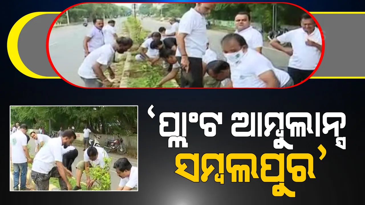  ଫେଲ୍ ମାରିଲା ମହାନଦୀ ବନୀକରଣ ଯୋଜନା । ଗଛ ଲାଗିବାର ବର୍ଷେ ଭିତରେ ହଜିଗଲା ଚିହ୍ନବର୍ଣ୍ଣ । ସହରକୁ ସବୁଜ ସୁନ୍ଦର କରିବା ପାଇଁ ଲୋକେ ଆରମ୍ଭ କଲେ ‘ପ୍ଲାଂଟ ଆମ୍ବୁଲାନ୍ସ ସମ୍ବଲପୁର’ ଅଭିଯାନ ।