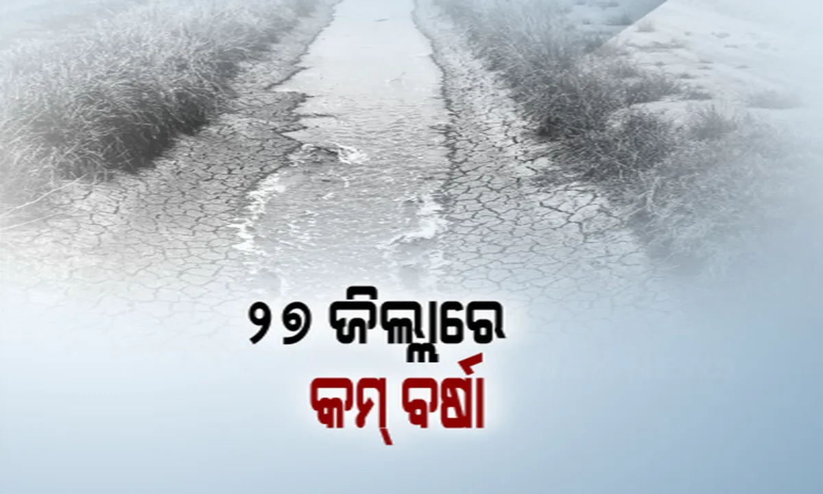  ରାଜ୍ୟର ୨୭ ଜିଲ୍ଲାରେ କମ୍ ବୃଷ୍ଟିପାତ । ଜୁନରୁ ଅଗଷ୍ଟ ମାସରେ ୩୦ ପ୍ରତିଶତ କମ୍ ବର୍ଷା, ପାଣି ଅଭାବରୁ ଉଜୁଡିଲାଣି ଚାଷ । ଧାନ ଜମି ଫାଟି ଆଁ, ଚାଷୀକୂଳ ହତାଶ ।