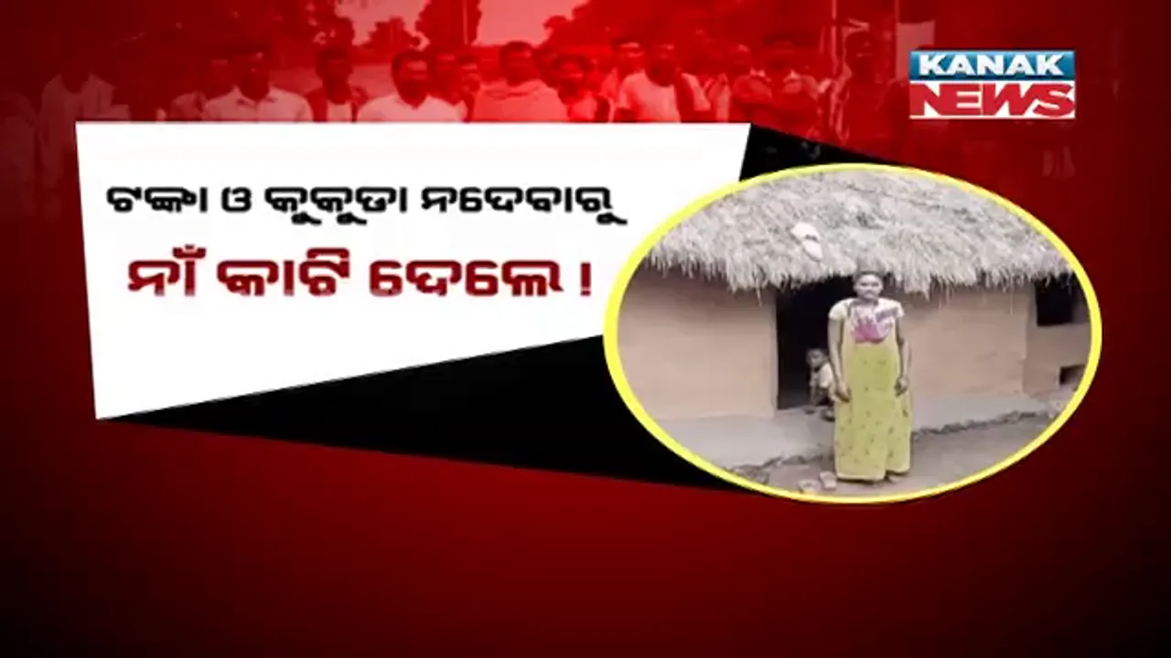  କୁକୁଡା ଓ ୩ ହଜାର ଟଙ୍କା ଲାଞ୍ଚ ନଦେବାରୁ ଆବାସ ହିତାଧିକାରୀ ତାଲିକାରୁ ନାଁ କାଟିଦେଲେ ତଥ୍ୟ ସଂଗ୍ରହକାରୀ ଟିମ୍ । ପାପଡାହାଣ୍ଡି ବିଡିଓଙ୍କ ପାଖରେ ଫେରାଦ ହେଲେ ୧୯ ହିତାଧିକାରୀ ।
