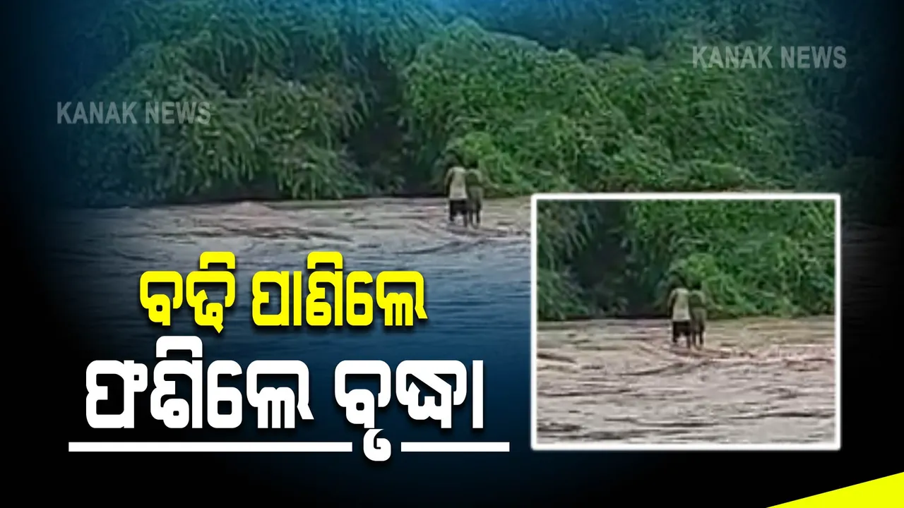  ବଢି ପାଣି ମଝିରେ ଫଶିଲେ ବୃଦ୍ଧା : ଉଦ୍ଧାର କରିବାକୁ ଯାଇ ନାଳ ମଝିରେ ଅଟକି ରହିଲେ ଯୁବକ