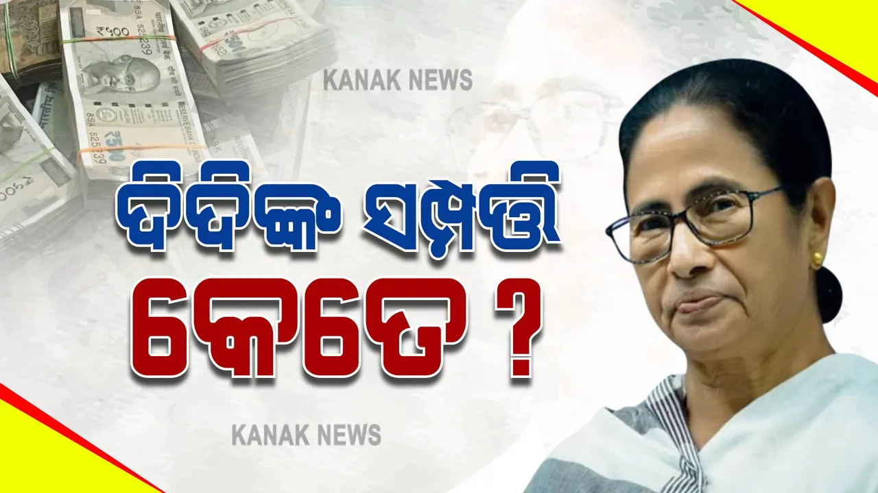   ଆଫିଡେଭିଡ୍ ଦାଖଲ କଲେ ମମତା । ଦିଦିଙ୍କ ସମ୍ପତ୍ତି କେତେ?